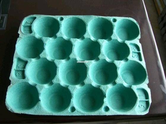 Molded Pulp Apple Tray