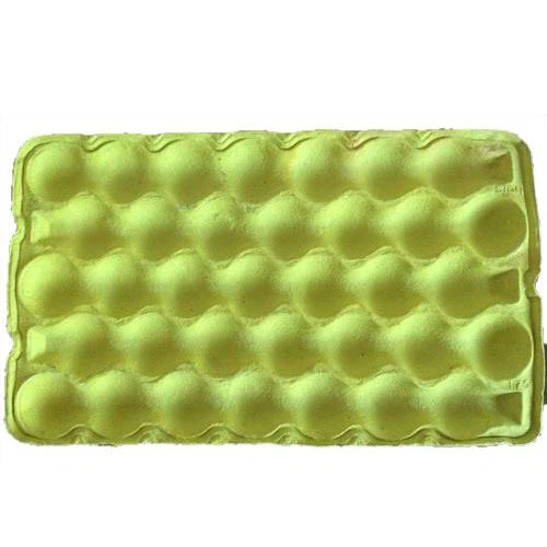 colorful-apple-tray-500x500-2